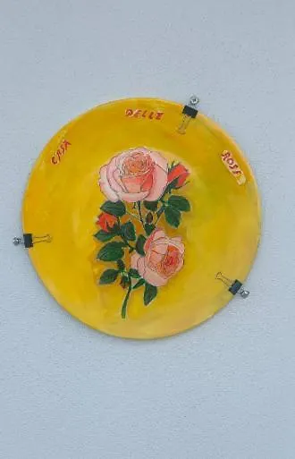 Casa Delle Rose Villa Fiumaretta di Ameglia